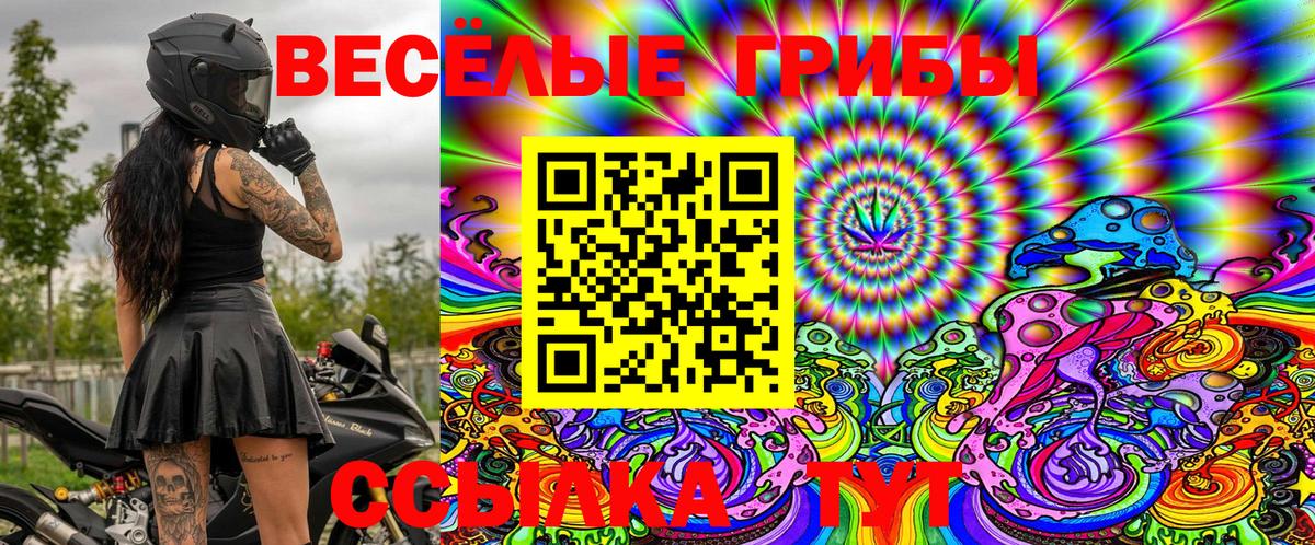 Галлюциногенные грибы GOLDEN TEACHER Малоярославец